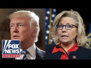 Read more about the article Lisa Boothe: This is why Liz Cheney hates Trump