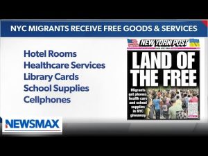 Read more about the article Illegal immigrants get FREE hotels, health care, phones in New York | Mike Carter