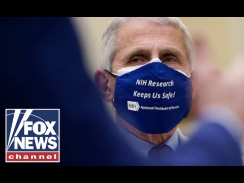 You are currently viewing Dr. Gad Saad: Where Dr. Fauci didn’t listen to the science | Will Cain Podcast