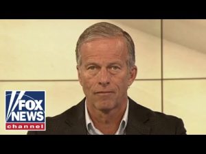 Read more about the article The Biden inflation hits keep on coming: Sen. Thune