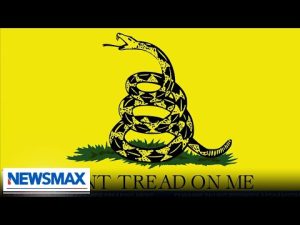 Read more about the article FBI guide calls 1776, Don’t Tread on Me, Trump flags evidence of domestic terrorism | Julie Kelly