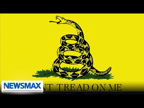 You are currently viewing FBI guide calls 1776, Don’t Tread on Me, Trump flags evidence of domestic terrorism | Julie Kelly