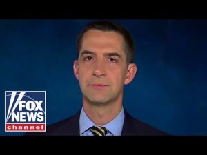 Read more about the article Tom Cotton: ‘This will hurt so many Americans’