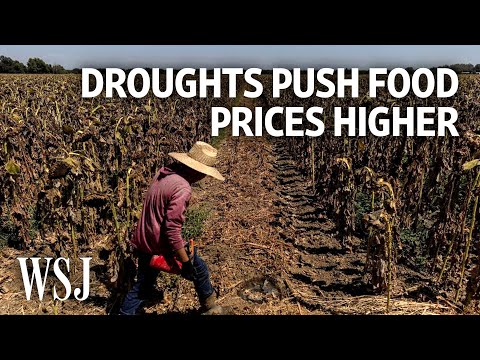 You are currently viewing How Extreme Droughts Are Fueling Food Inflation | WSJ