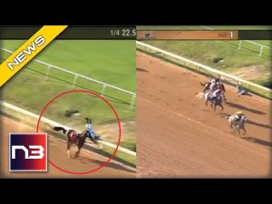 Read more about the article Heavenly Trump Wins Race After Leader Crashes Head First Into Rail In Worst Racing Loss Ever