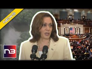 Read more about the article WHAT Kamala Harris Said About Kentucky Should Get Her Kicked Out Of Office