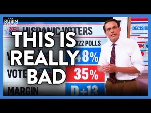 Read more about the article MSNBC Hosts Are Visibly Confused by This Minority Abandoning Democrats | DM CLIPS | Rubin Report