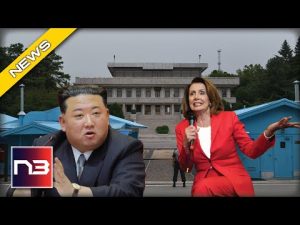 Read more about the article Pelosi Going to NORTH KOREA To Try And Make a Deal With Kim!