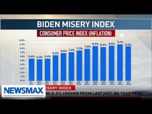 Read more about the article You’re seeing a reduction in demand because things are so expensive | Stephen Moore