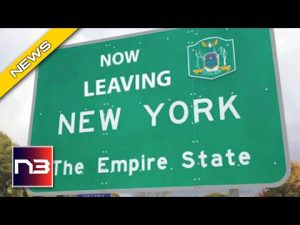 Read more about the article Even Illegals Are Terrified Of New York – 26 Vanish Before Arriving