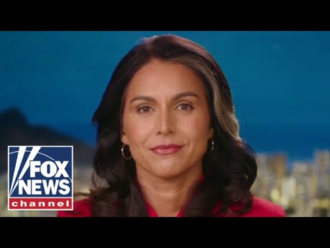 You are currently viewing Tulsi Gabbard: This is government bureaucracy at its worst