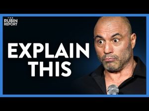 Read more about the article Watch Joe Rogan React to This Theory That Seems Crazy Until It Doesn’t | DM CLIPS | Rubin Report