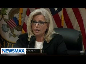 Read more about the article WATCH: Voters react to Liz Cheney’s primary in Wyoming | ‘National Report’