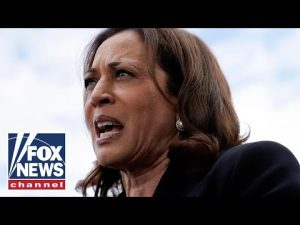 Read more about the article Kamala Harris silent on migrants dropped at her doorstep