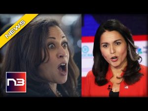 Read more about the article WATCH: Tulsi Gabbard Absolutely DESTROYS Dems Who Call MAGA Supporters Terrorists