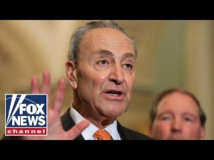 Read more about the article Chuck Schumer reportedly warning Pelosi is ‘in trouble’ ahead of midterms