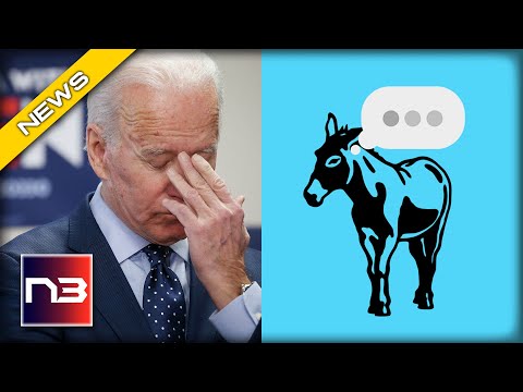 You are currently viewing Watch What Happens Dem is Asked How Biden is Doing (You Won’t Believe It)