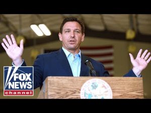 Read more about the article Ron DeSantis triggers liberal media meltdown