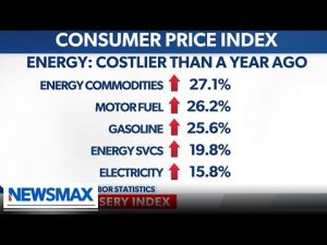 Read more about the article Energy rules for thee but not for me are about control | Warren Davidson | ‘Saturday Report’