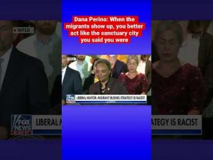 Read more about the article Chicago mayor: Bussing migrants to Democratic cities is ‘racist’