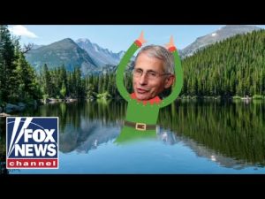 Read more about the article Tucker Carlson: DeSantis just outed Fauci as an elf #shorts