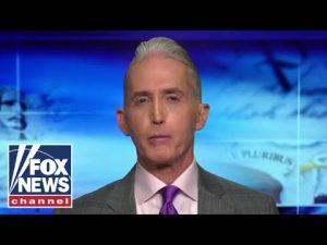 Read more about the article Trey Gowdy: New York Times writer fumes over GOP wives in TV ads