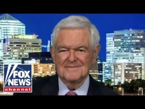 Read more about the article What is costing Democrats votes in every community: Newt Gingrich