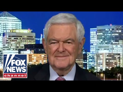 You are currently viewing What is costing Democrats votes in every community: Newt Gingrich