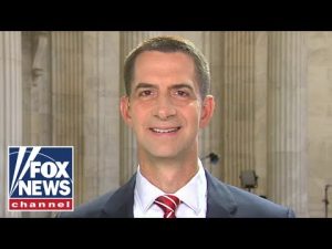 Read more about the article Tom Cotton ‘confident’ Republicans will regain control of House and Senate