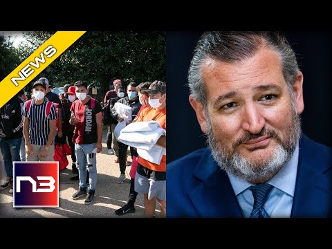 You are currently viewing WATCH! Ted Cruz Announces Epic Plan that Democrats are going to HATE