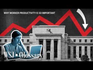 Read more about the article Worker Productivity’s Steepest Drop in 74 Years: What That Means for the Economy | WSJ