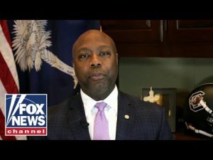 Read more about the article Sen. Tim Scott: Left wants to ‘demoralize’ strong conservative minorities