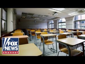 Read more about the article This is the fight over book bans and what students should read | FOX News Rundown