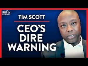 Read more about the article This CEO’s Harsh & Dire Warning Should Scare Democrats (Pt. 2) | Tim Scott | POLITICS | Rubin Report