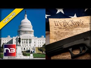 Read more about the article Gun Law repeal in Washington D.C. paves way for nationwide recognition of 2nd Amendment rights