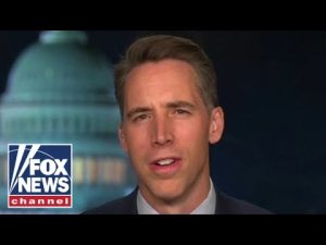 Read more about the article Josh Hawley: This is a war on the working class