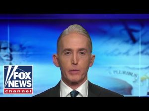 Read more about the article Trey Gowdy: Democrats want to remove Republican governors instead of illegal immigrants