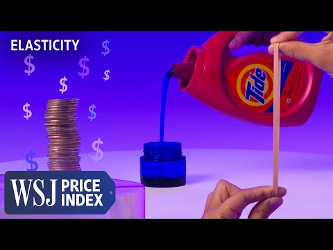 Read more about the article Elasticity: The Economic Concept Behind How Companies Price Products | The Price Index | WSJ