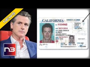 Read more about the article Newsom In Clear VIOLATION of Federal Law With Action on State ID Program