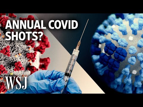 Read more about the article Can We Vaccinate Covid Like the Flu With Yearly Shots? | WSJ