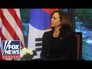 Read more about the article VP Harris mistakenly touts US alliance with North Korea