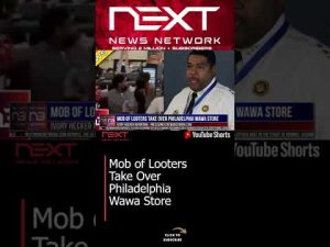 Read more about the article Mob of Looters Take Over Philadelphia Wawa Store #shorts