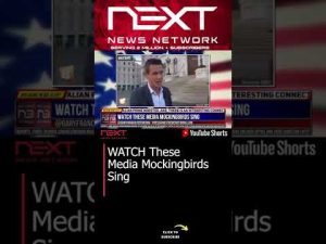 Read more about the article WATCH These Media Mockingbirds Sing #shorts