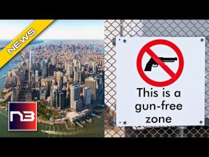 Read more about the article Criminal Fun Zone: NYC Puts Up Signs That Encourage Criminal Activity