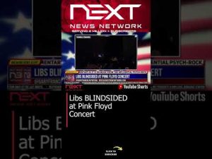 Read more about the article Libs BLINDSIDED at Pink Floyd Concert #shorts