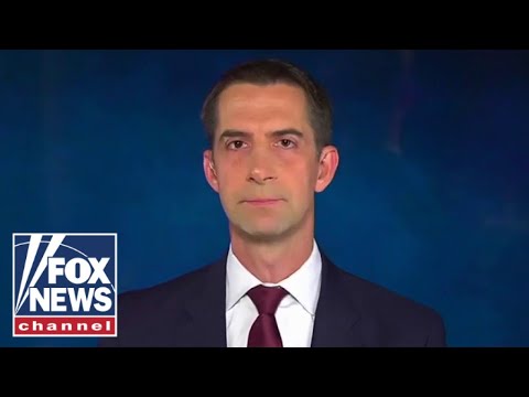 You are currently viewing Tom Cotton: Dems ‘won’t treat criminals as the criminals they are’