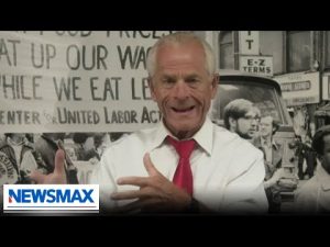 Read more about the article Peter Navarro: The American public’s not going to buy what they’re selling | ‘Rob Schmitt Tonight’