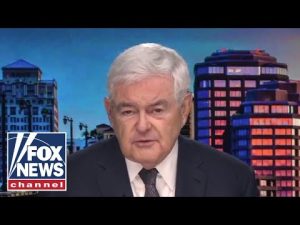 Read more about the article Newt Gingrich: ‘The level of dishonesty is astonishing’