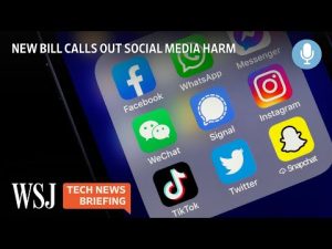 Read more about the article California to Hold Social Media Responsible for Harm to Children | Tech News Briefing Podcast | WSJ