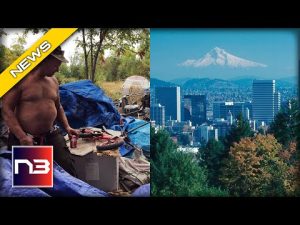 Read more about the article Portland Residents FLEE After Seeing Parks and Neighborhoods Go “Third World”